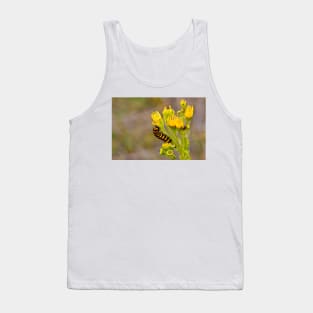 Cinnabar Moth Caterpillar on Ragwort Flowers Tank Top